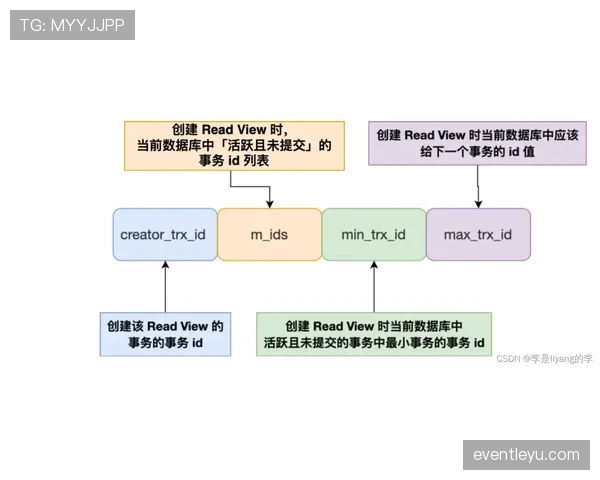 界外球规则的判定流程与执行细节解析